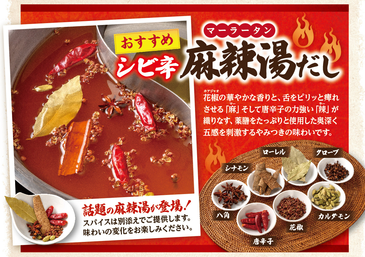 おすすめ『麻辣湯だし』